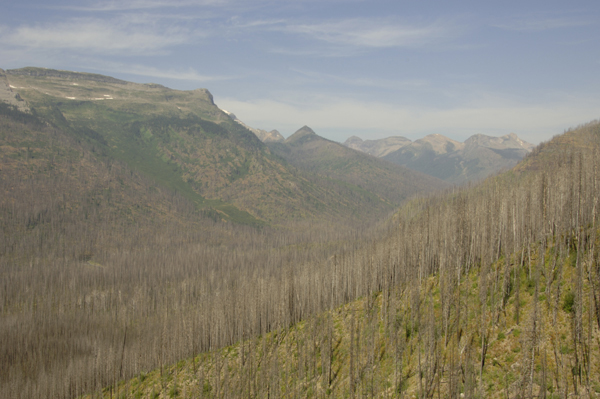 glacier-2006061.jpg