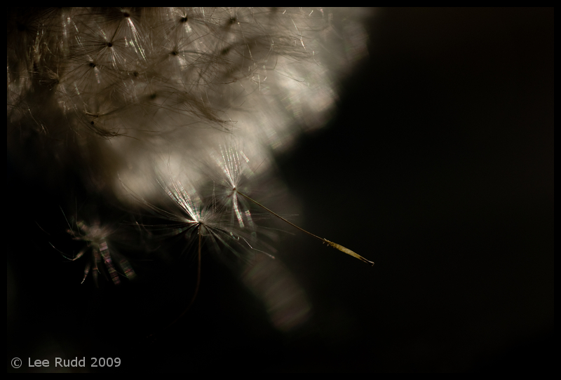 Hanging On