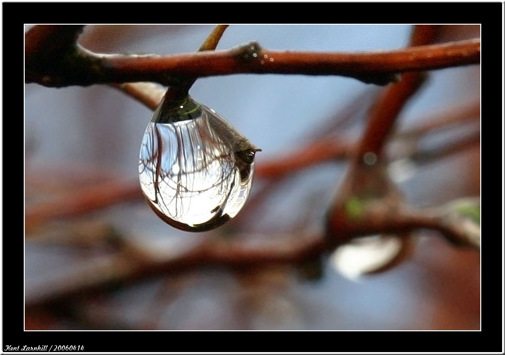 20060414 - More water drops -