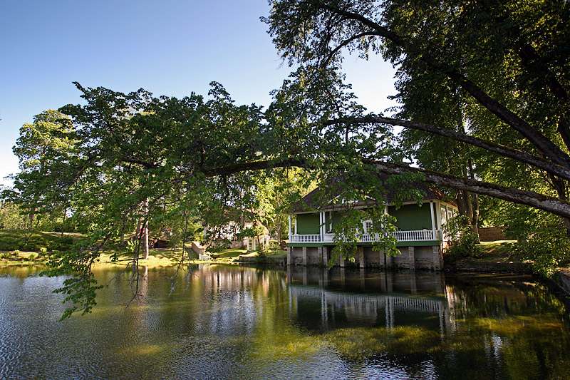 Palmse Manor House Gardens: Pond with Tree