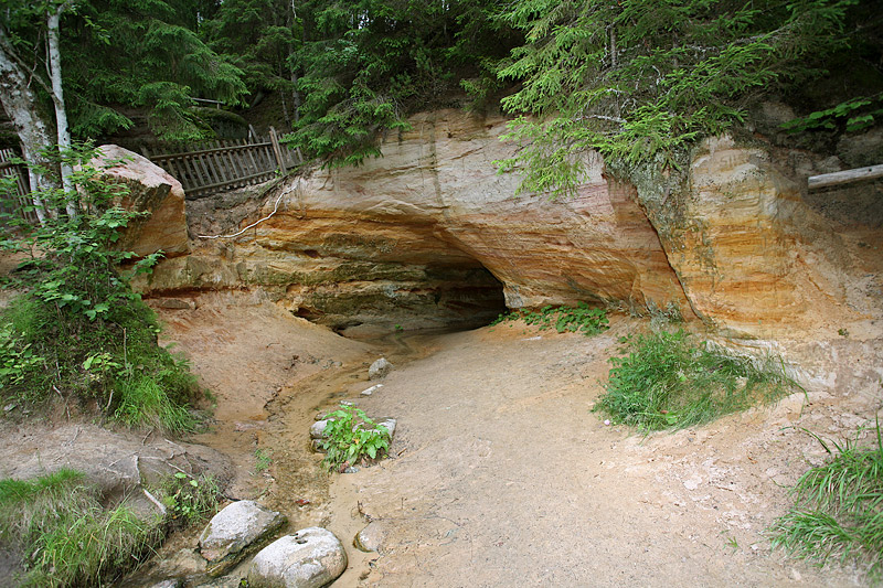 Ahja River Valley: Mother Spring