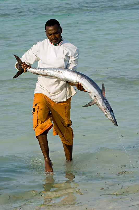 Carrying Tuna Fish