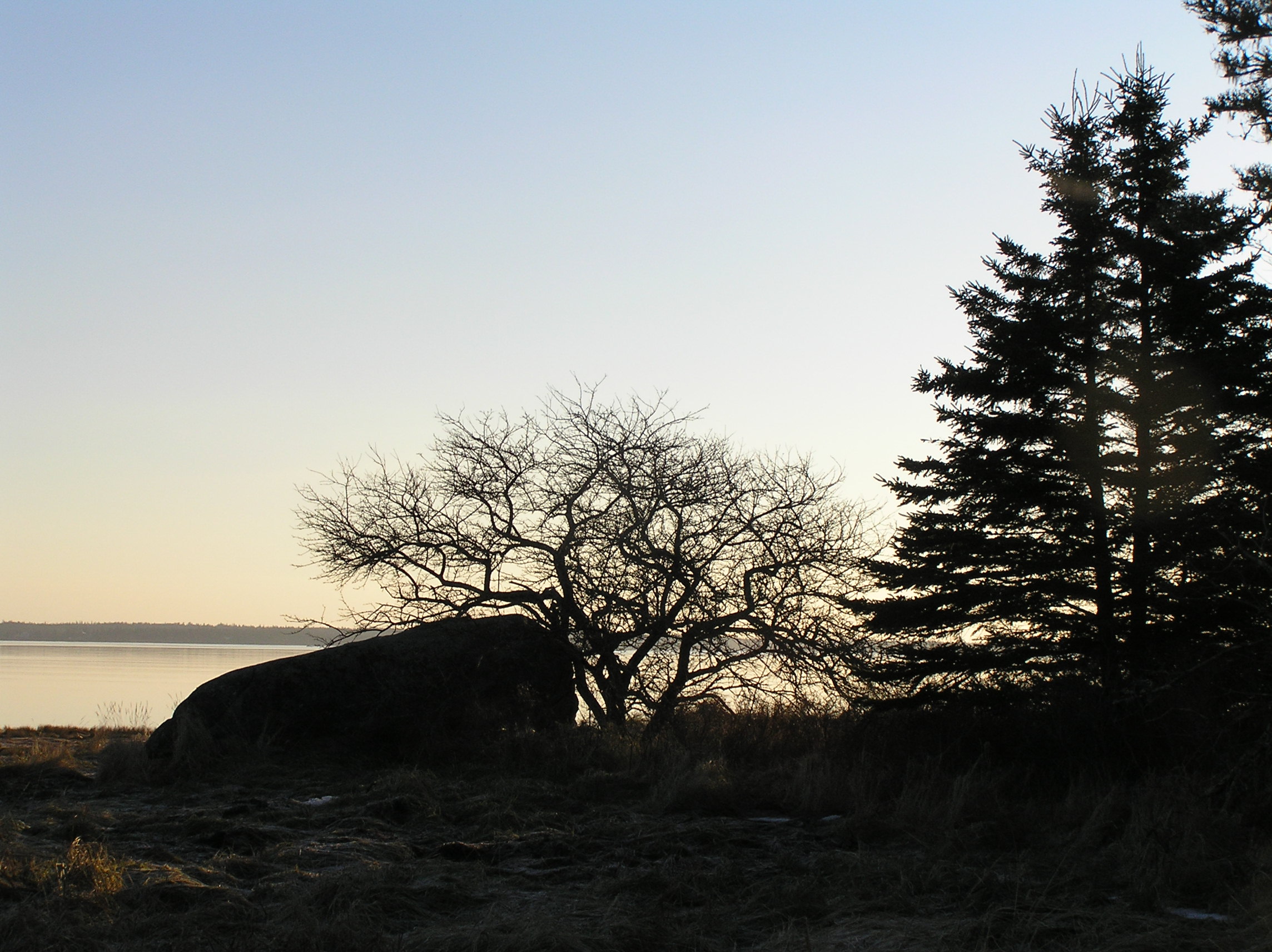 P1010014.JPG