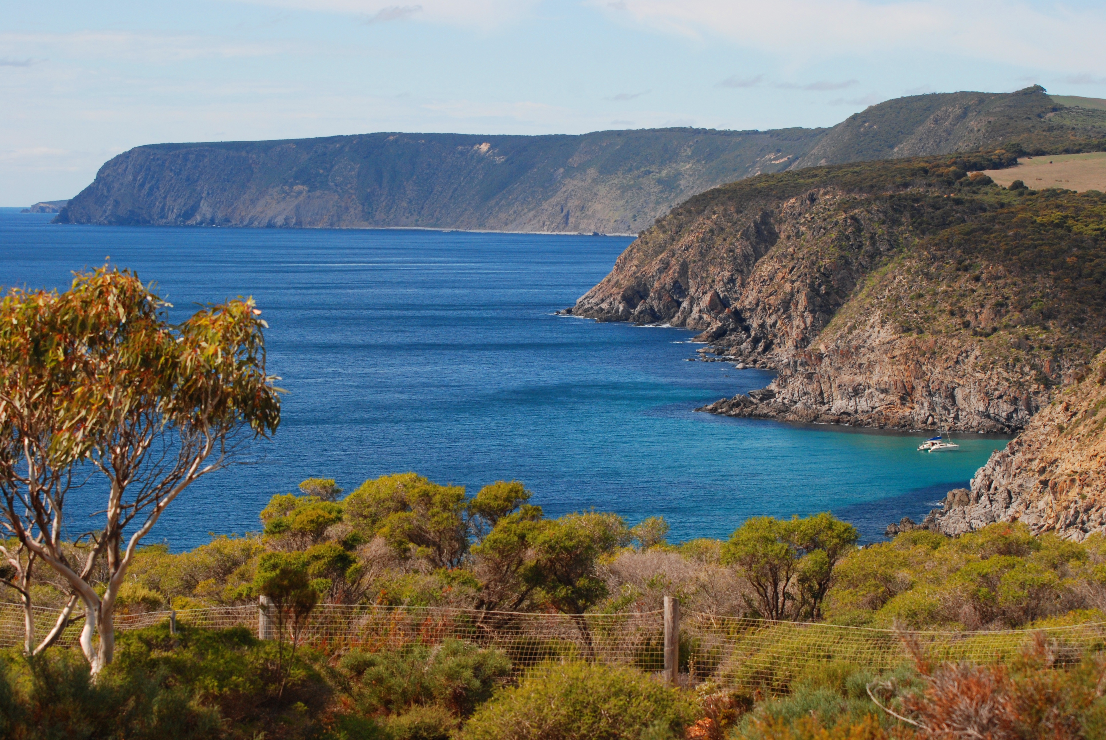Scott Cove at Cape Borda
