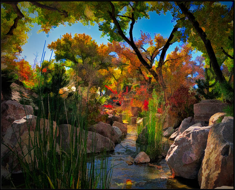 Japanese Garden Color Color