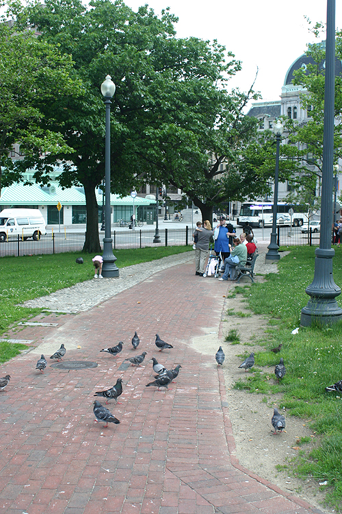 IMG_2531.jpg