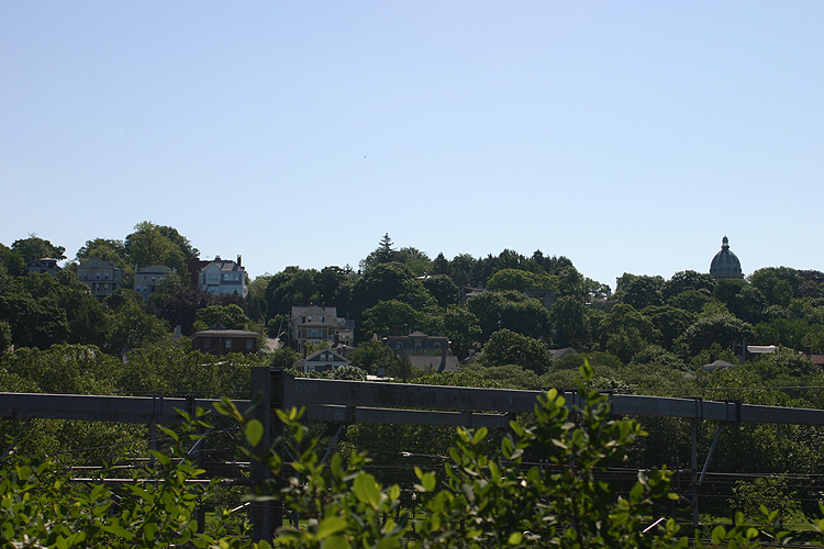 IMG_2587.jpg