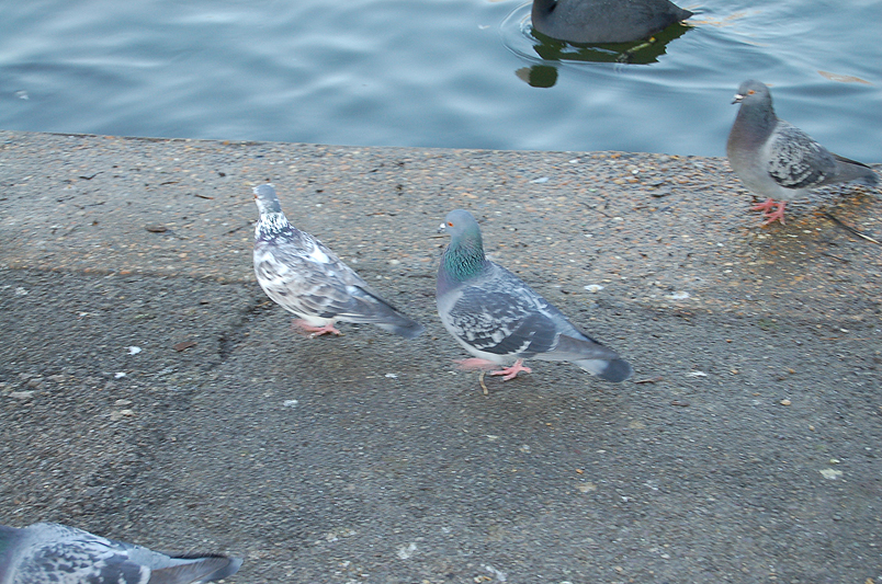 london_040.jpg