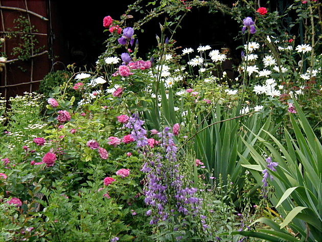 Randys Memorial Garden