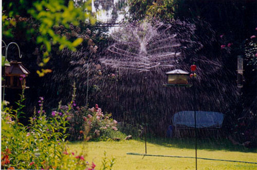 Copper Sprinkler 7-18-00.JPG