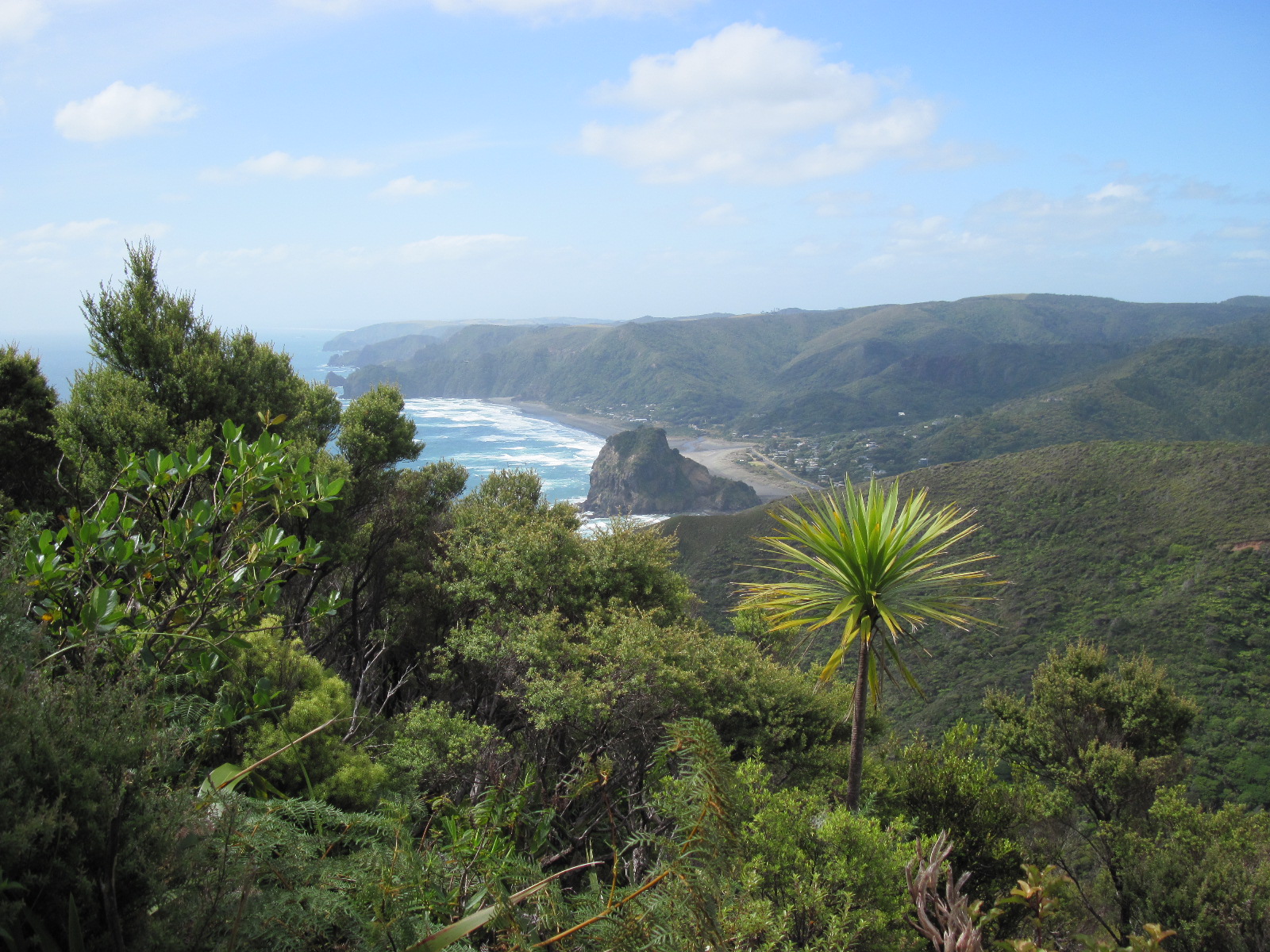 Lion Rock at Piha Beach
