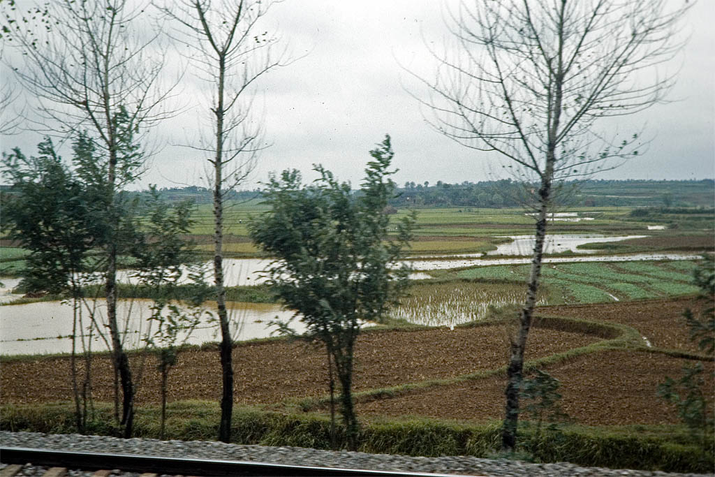 On the train to Changsha, China