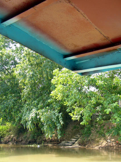 NH33.jpg
