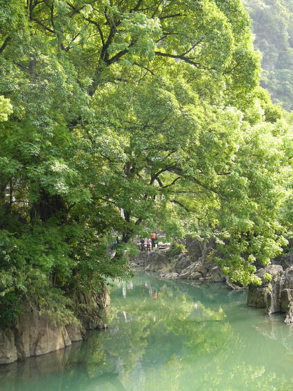 WY36.JPG