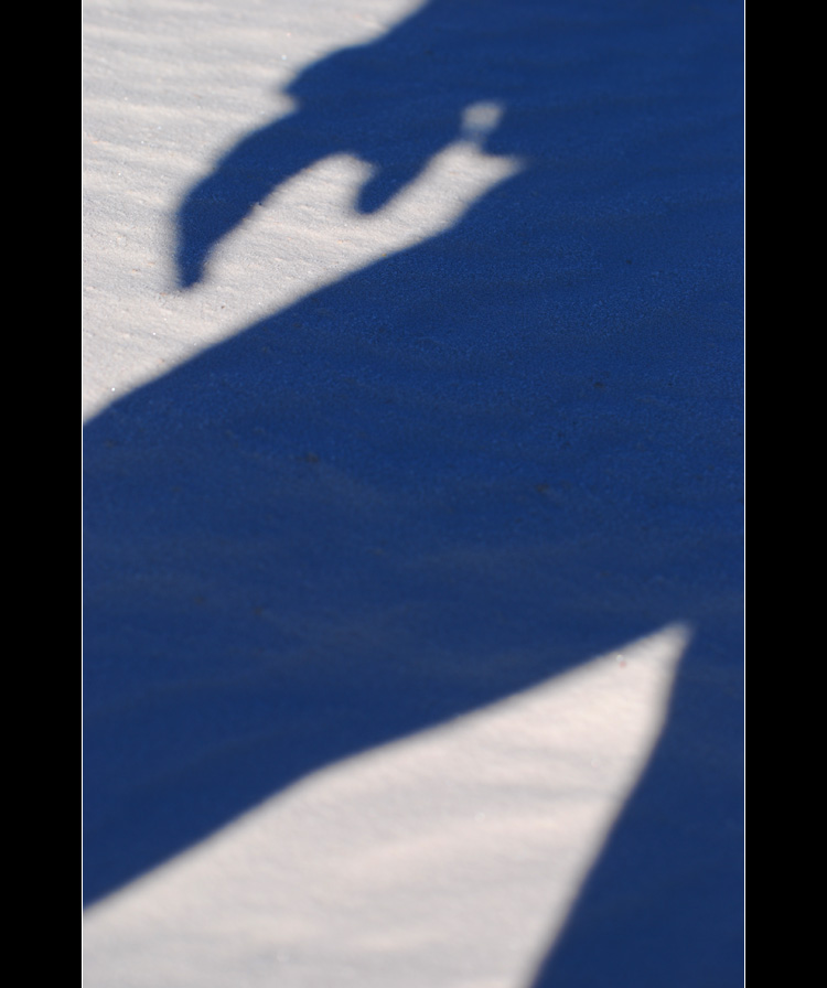DSC_4698ss.jpg