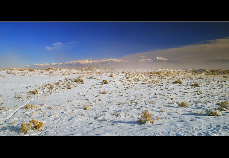 DSC_2060ss.jpg