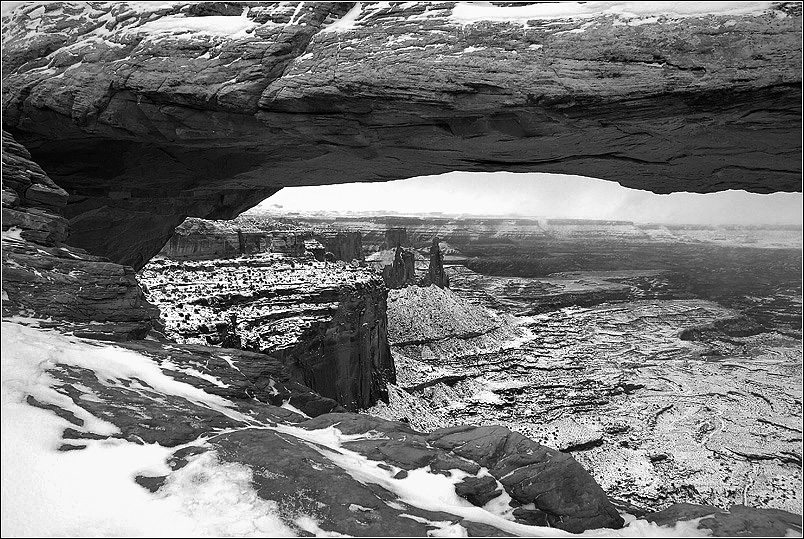 DSC_3398ss_bw.jpg