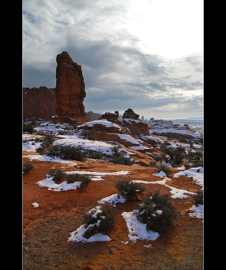 DSC_2925ss.jpg