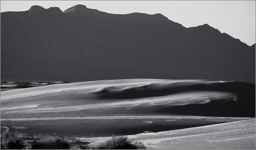 DSC_5015_bw_s.jpg