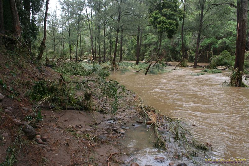 Springbrook Nerang Murwillumbah Rd 001.jpg