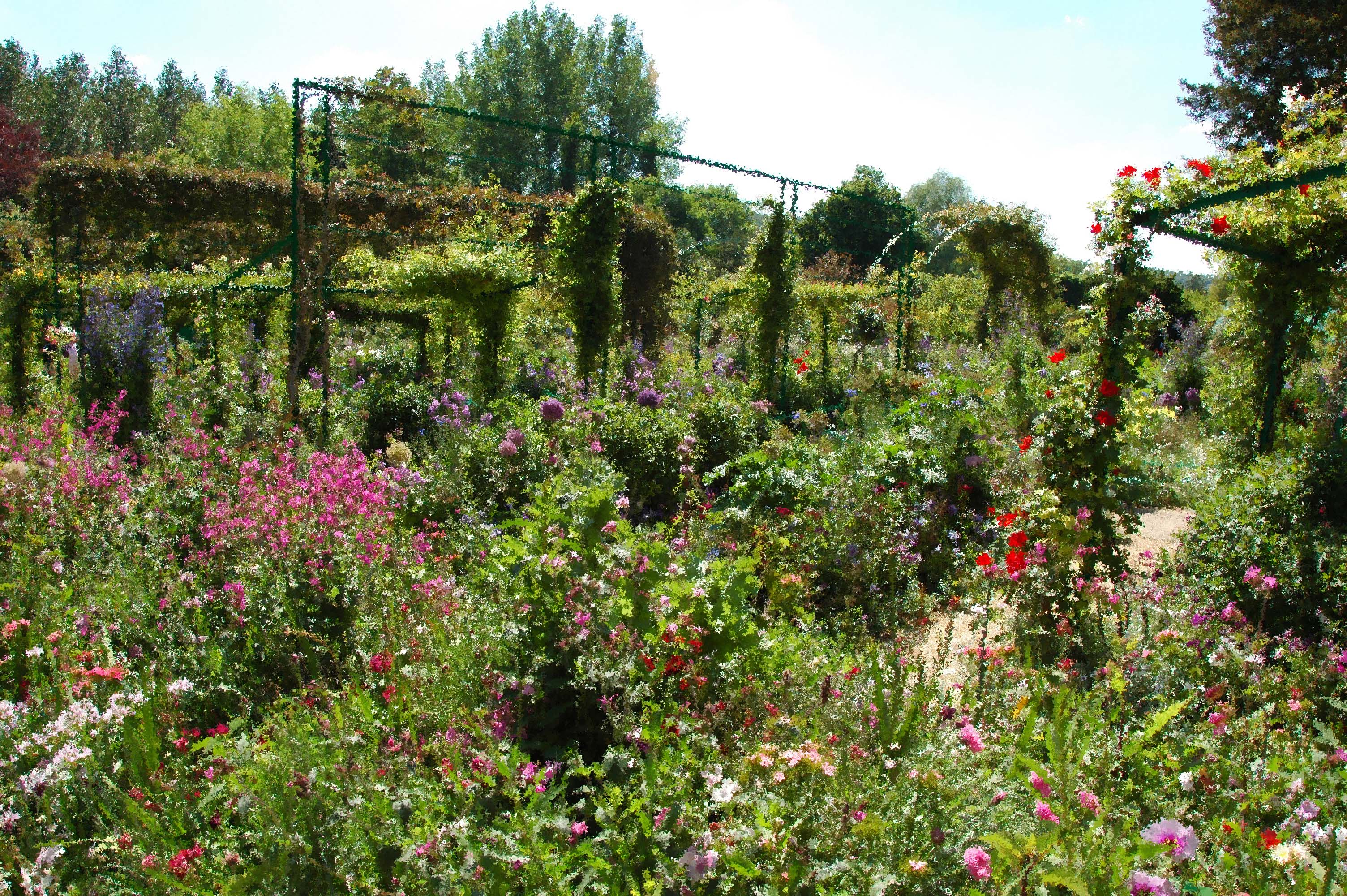 Monets garden