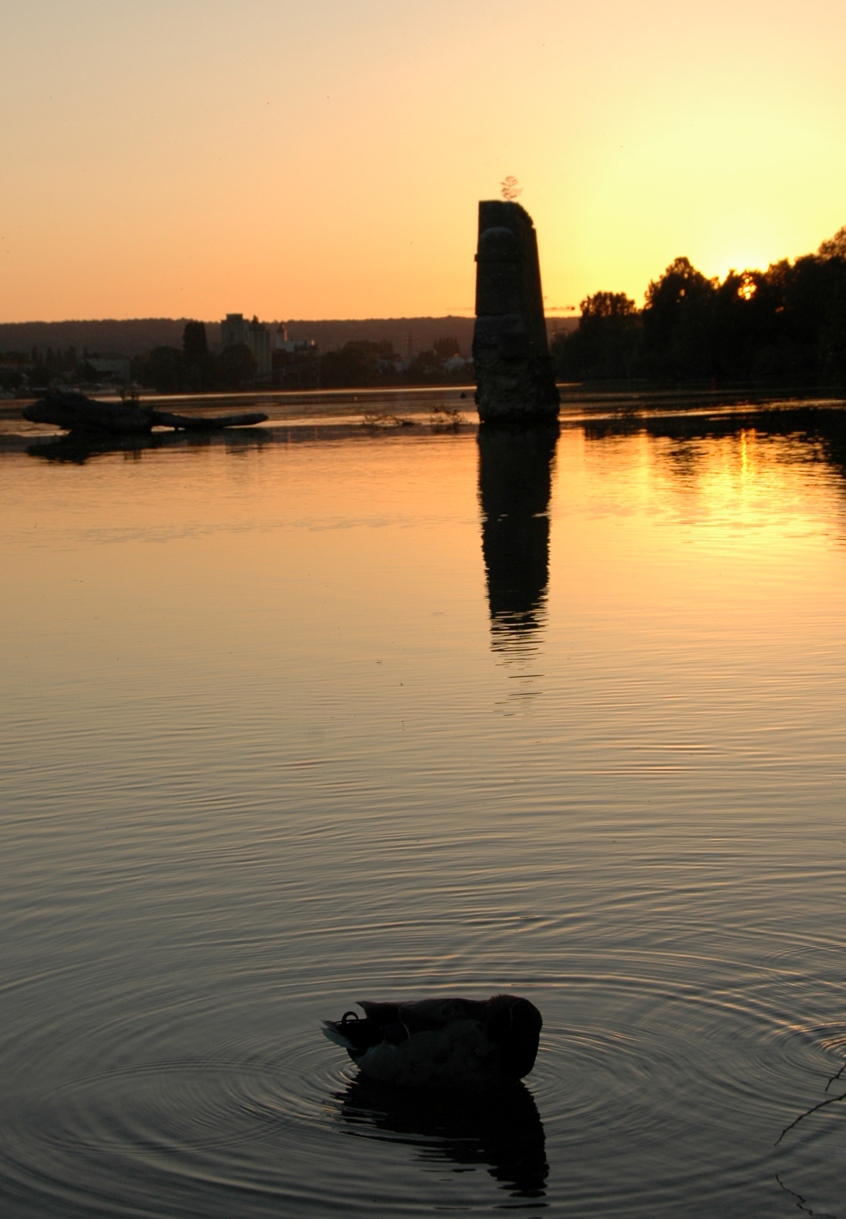 Sunset in Vernon