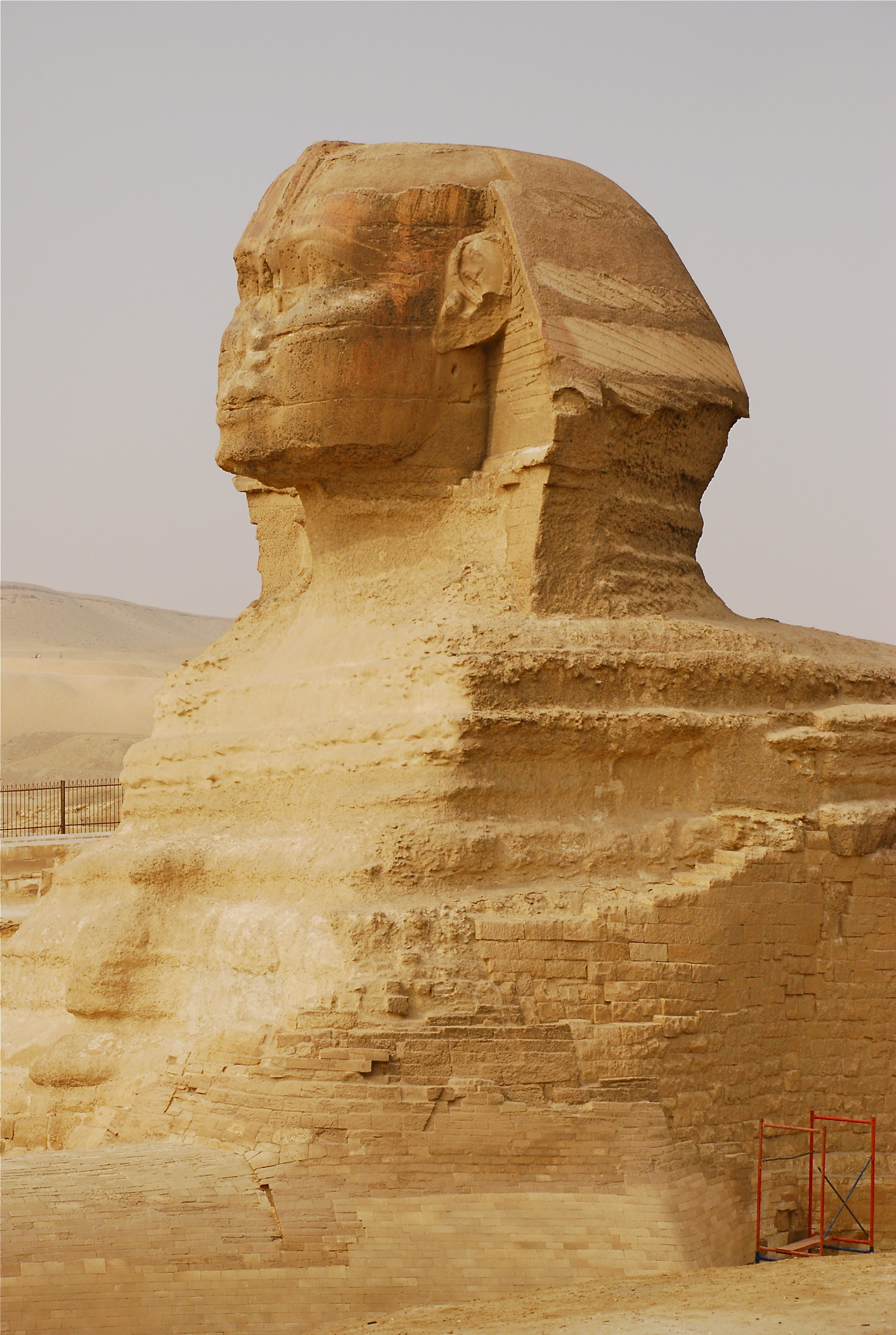 DSC_0314.JPG