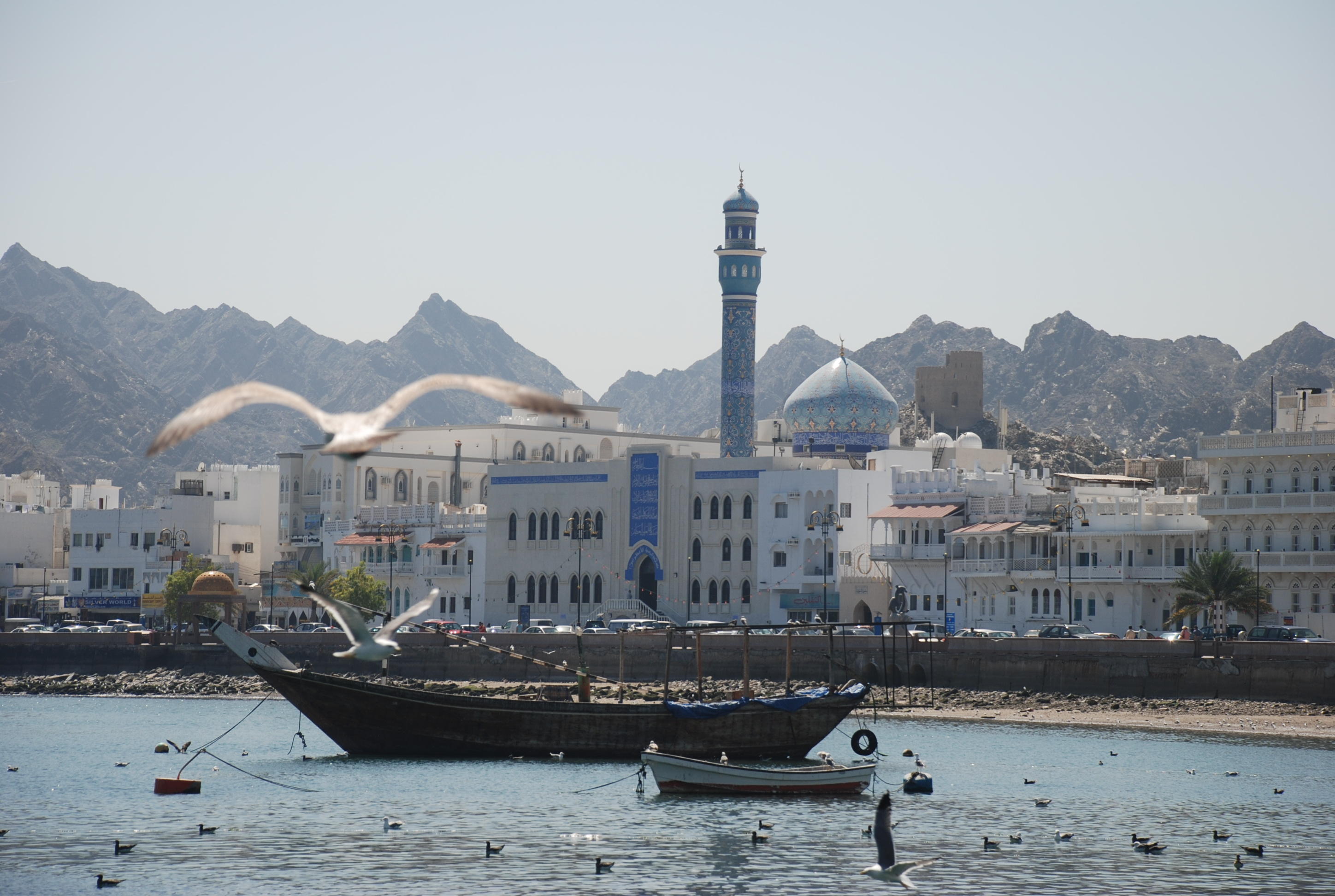 DSC_1738.JPG