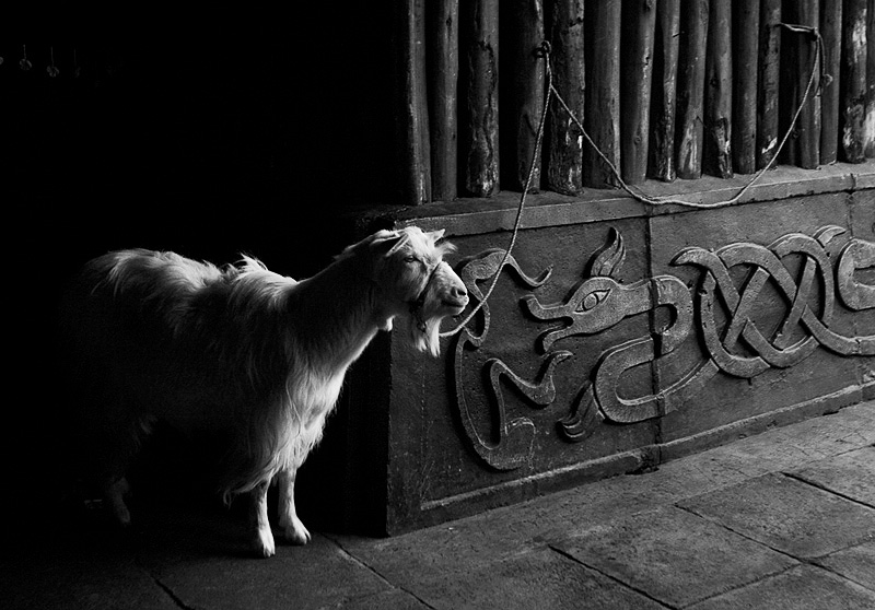 Encounter, Hengdian, China, 2006