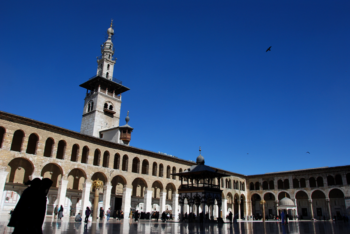 The Umayyad