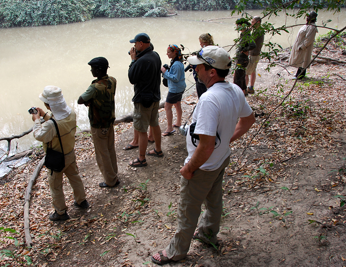 Waiting for Hippos