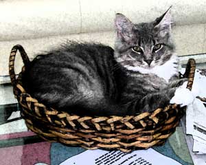 Pepper in basket  frescoe
