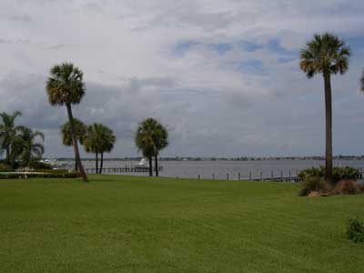 St Lucie River bank