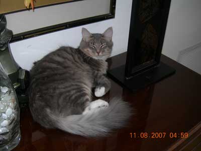 Pepper-original photo
