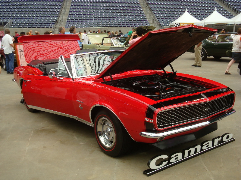 sDSC08644.JPG