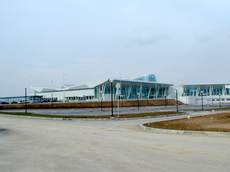 sP1229381.JPG