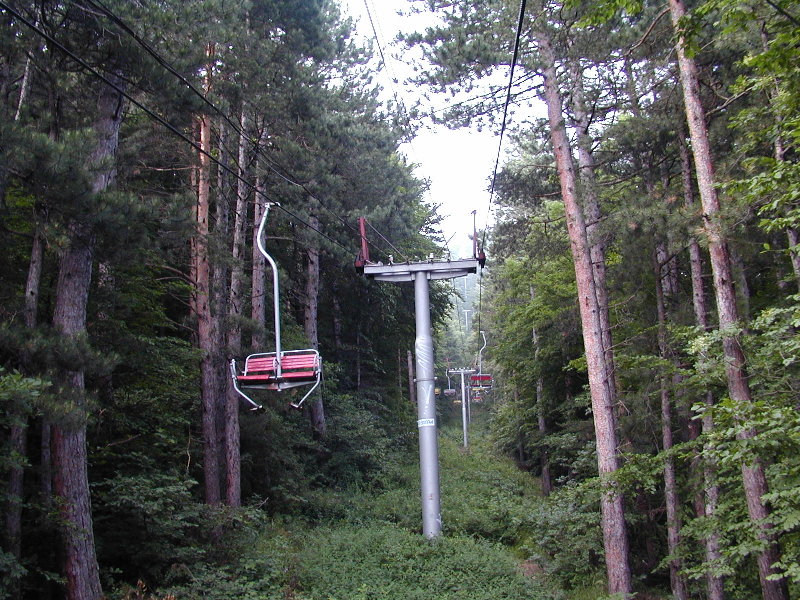 sP7020199.JPG