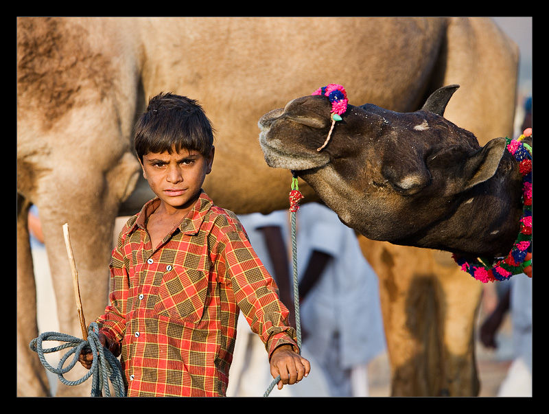 Boy Camel 03