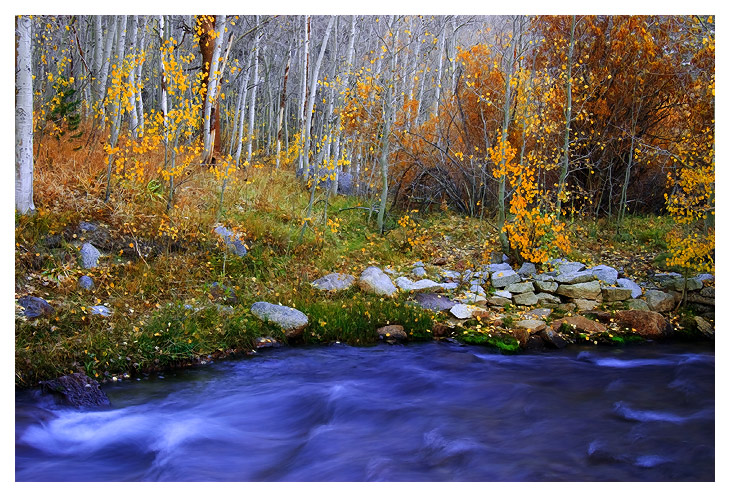 CRW_8201.jpg