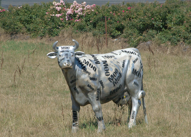 Cow Art