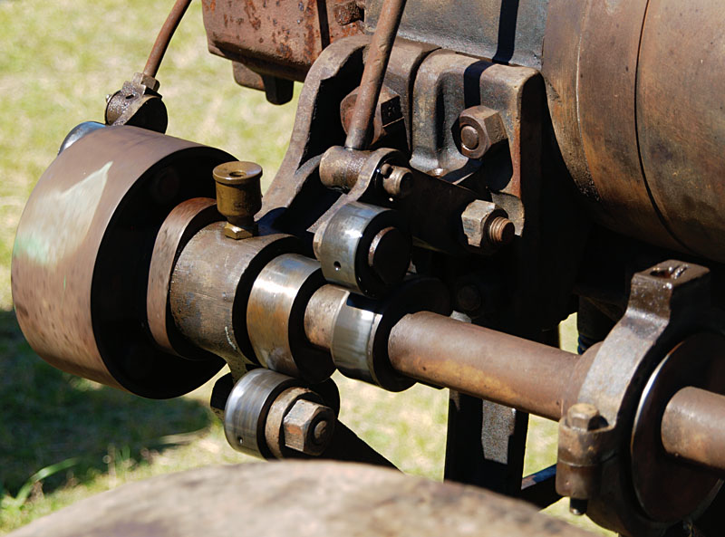 Detail of Austral