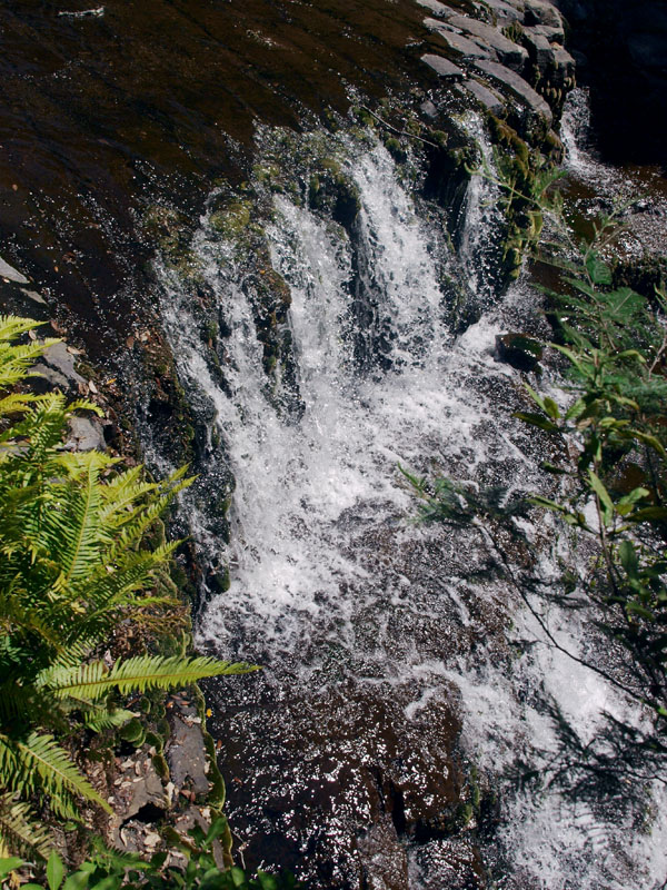 Liffey Falls