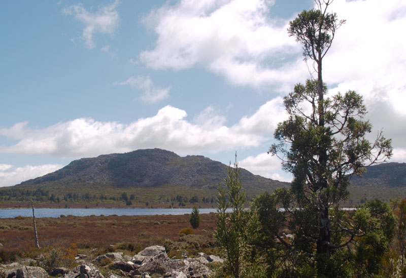Pine Lake