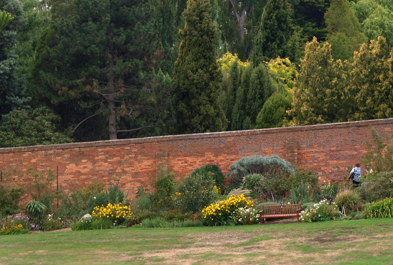 Old Boundary Wall