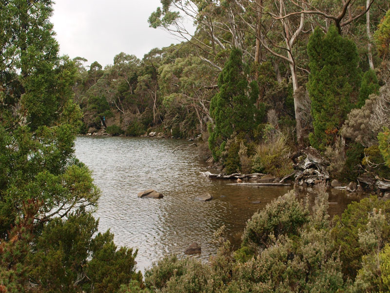 Lake Dobson  2