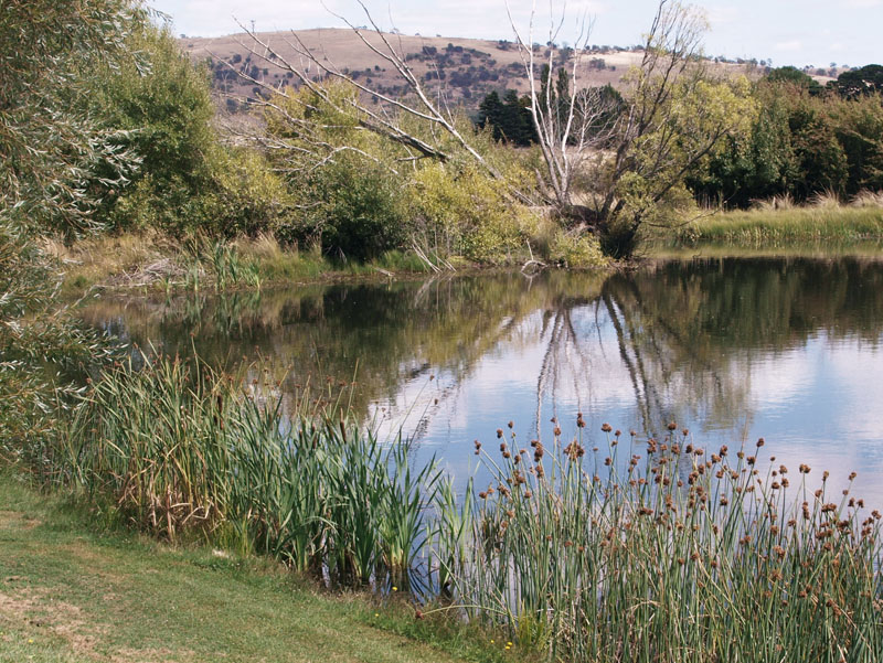 Macquarie River