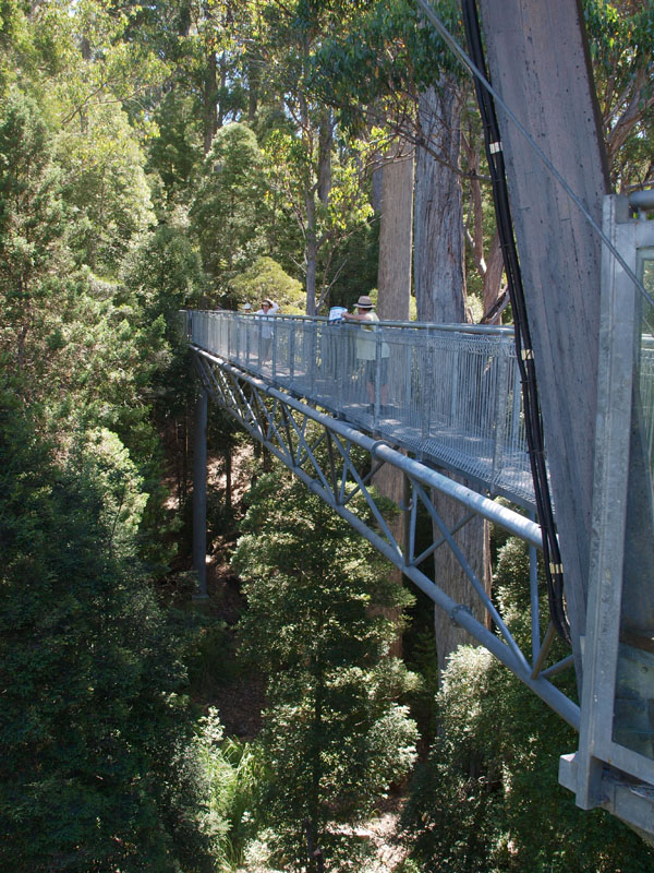 The Air Walk