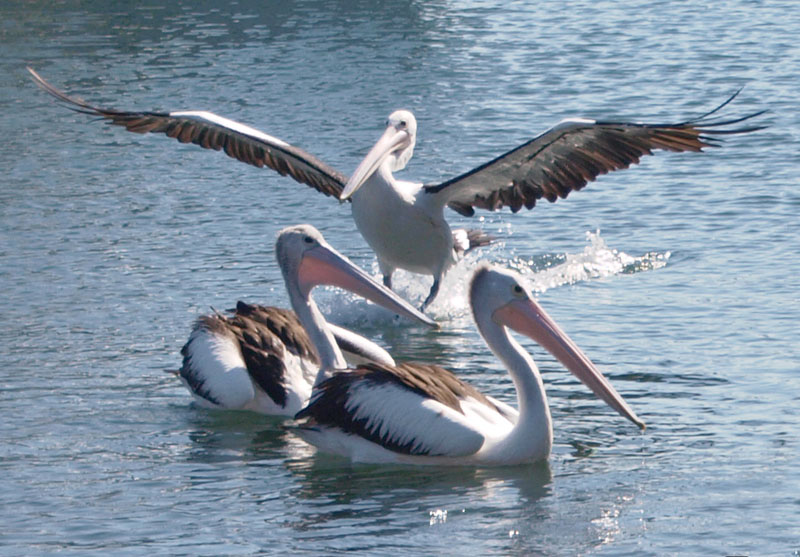 Threes a crowd