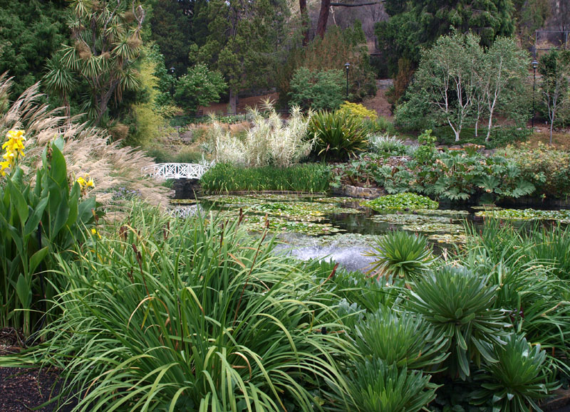Pond at Botanical Gardens