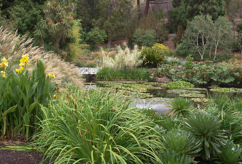 Pond at Botanical Gardens